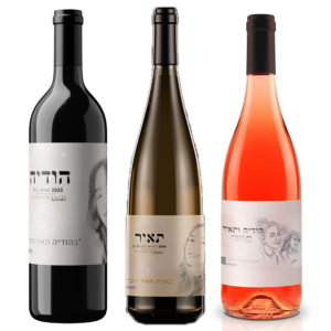 שלישיית-יינות-לזכר-הודיה-ותאיר-דוד
