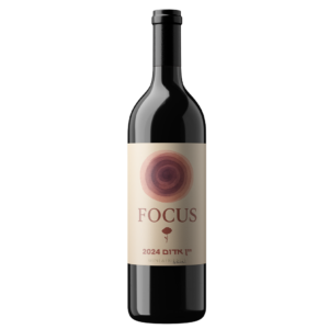 יין יין-אדום-קברנה סוביניון FOCUS-פוקוס
