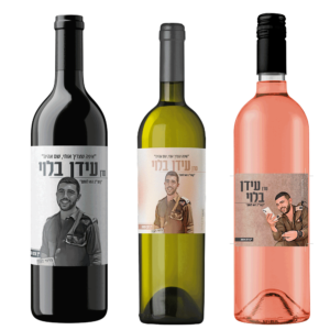 מארז-יין-לזכר-עידן-בלוי