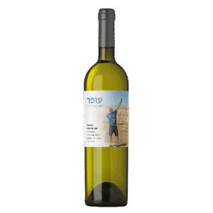יין-לבן-לזכר--עופר-מדלינסקי